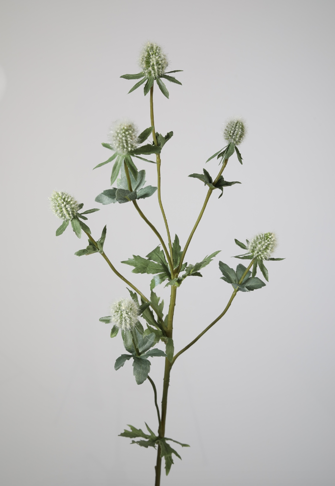 -- C&G - Small Eryngium Spray 71 cm