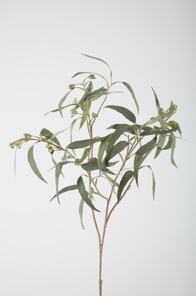 -- C&G - Eucalyptus spray 90cm zijde