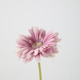 -- C&G - Gerbera daisy lila/paars 53cm lang