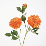 -- C&G - Dahlia spray oranje 71cm