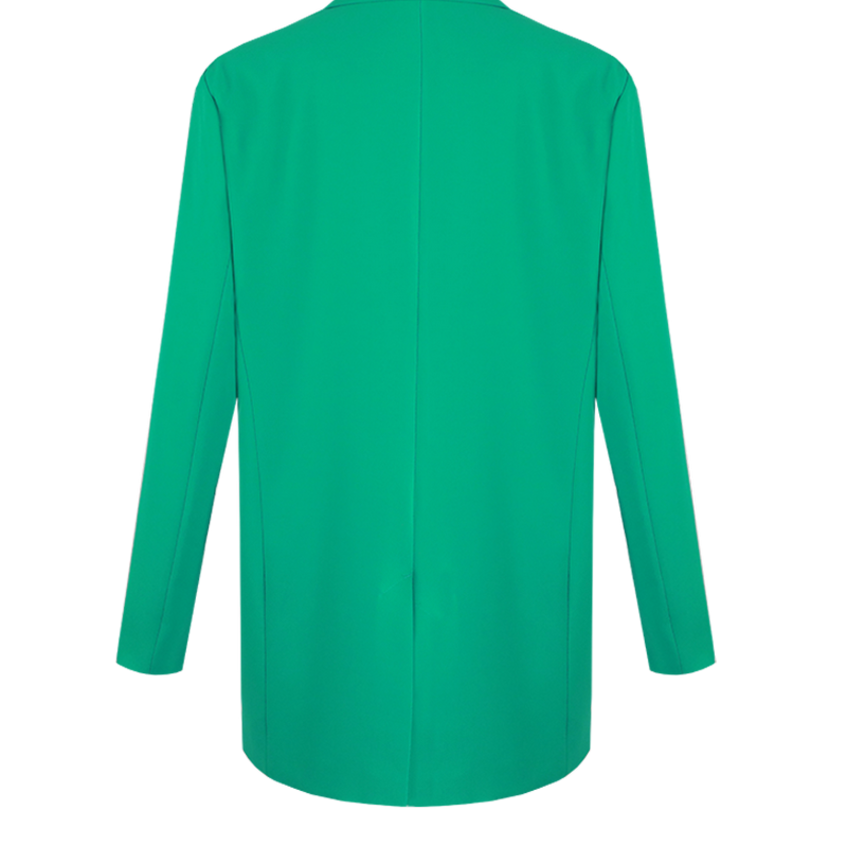 FLURESK FLURESK - Blazer Zera pu groen MAAT 42