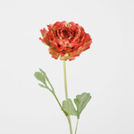 -- C&G - Hybrid Ranunculus 56cm Dia 13cm