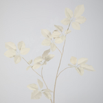 -- C&G - Schefflera lvs Spray 110cm