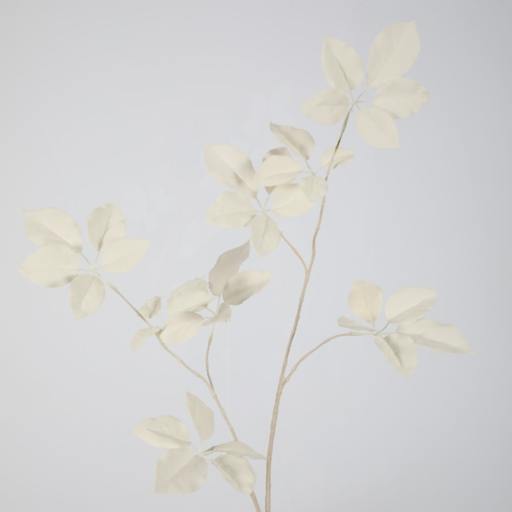 -- C&G - Schefflera lvs Spray 110cm