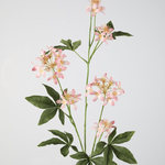 -- C&G - Forsythia Spray 115cm rosee