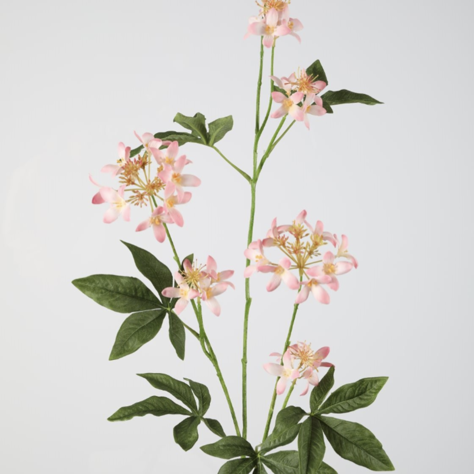 -- C&G - Forsythia Spray 115cm rosee