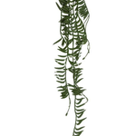 -- Hangplant vetplantenstruik 8X8X76