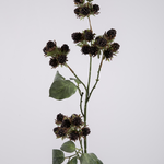 -- C&G - Mulberry 78cm bordeauxrood
