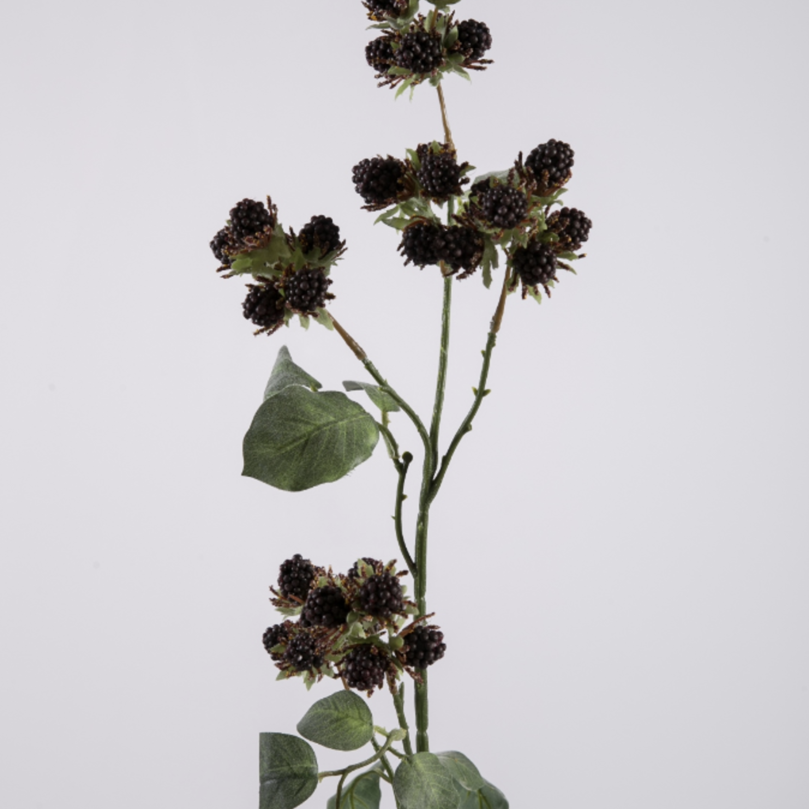 -- C&G - Mulberry 78cm bordeauxrood