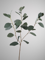 -- C&G - Eucalyptus 82cm groen zijde