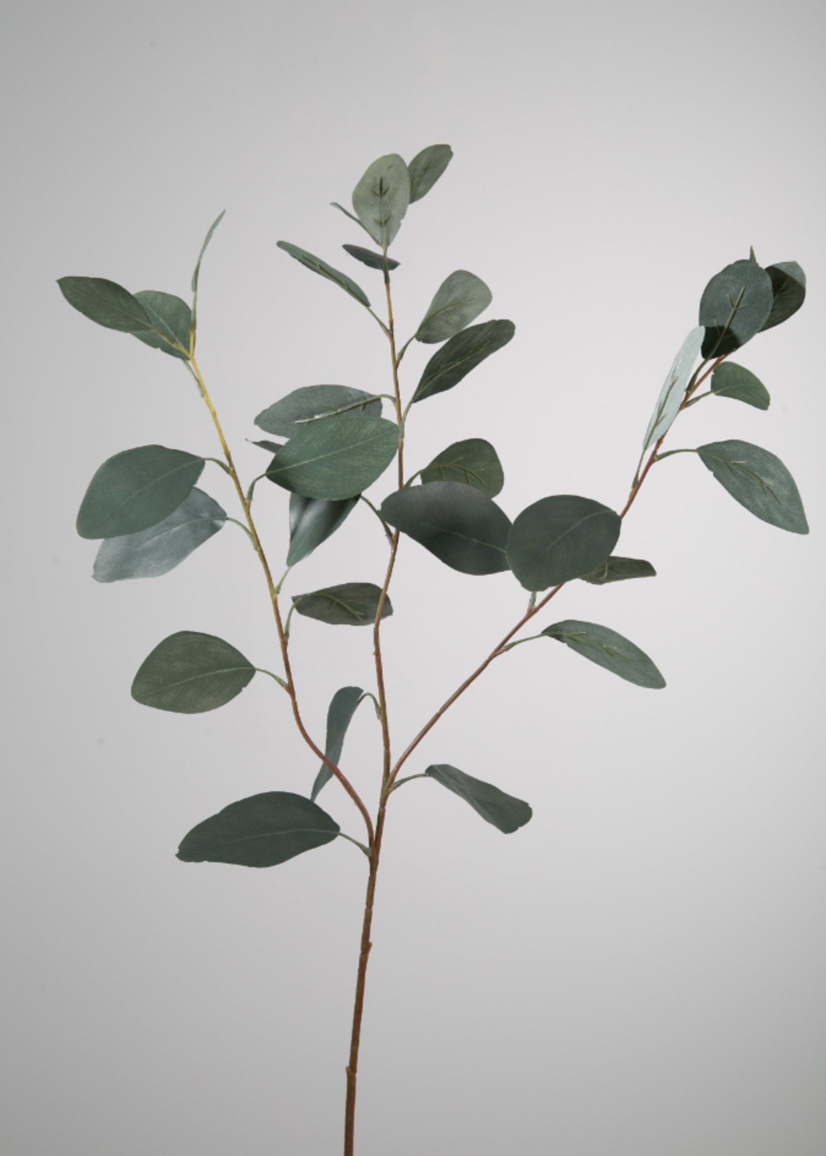 -- C&G - Eucalyptus 82cm groen zijde