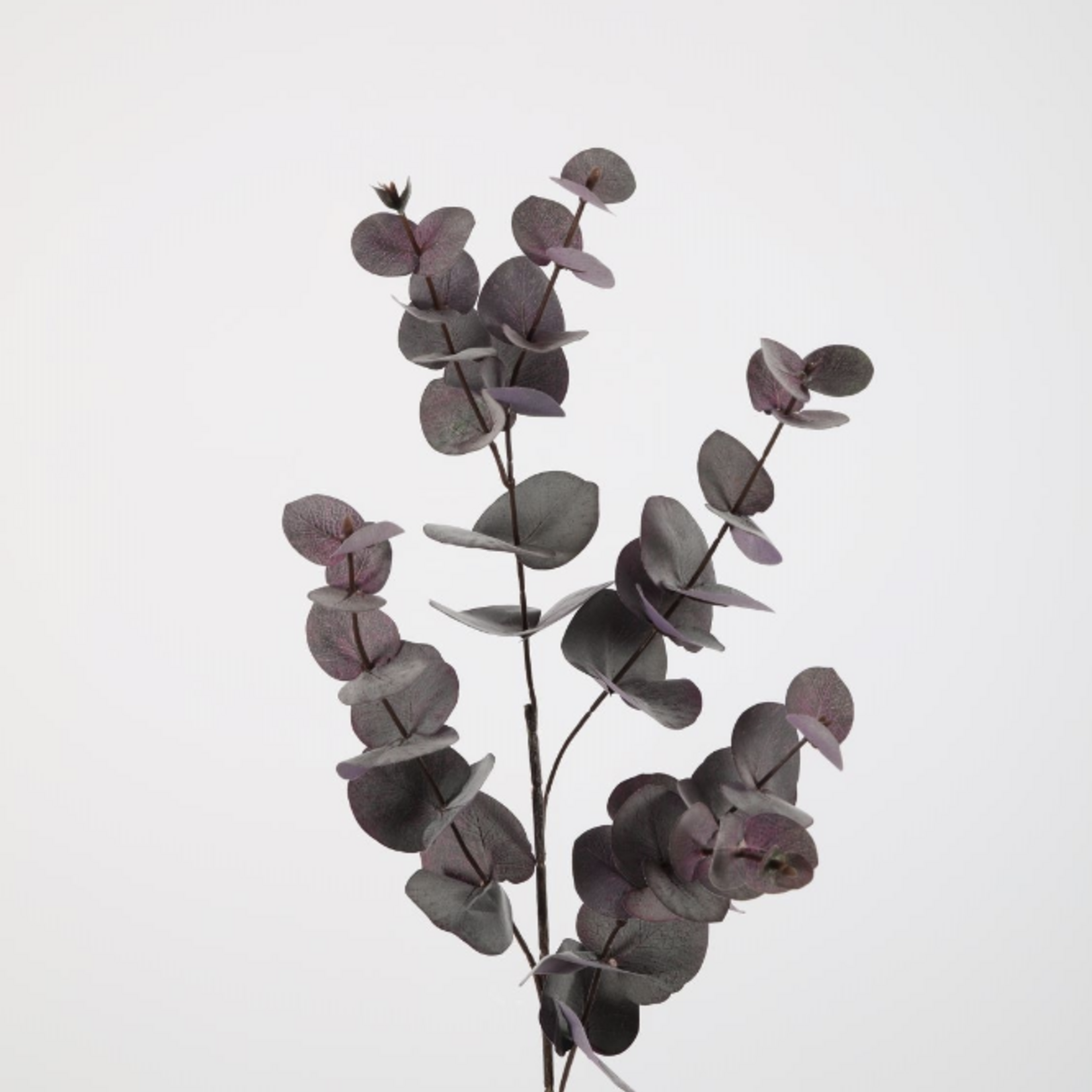 -- C&G - Eucalyptus spray 87cm koraal