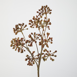 -- C&G - Rosehip spray 12 fruit 78cm bruin/naturel