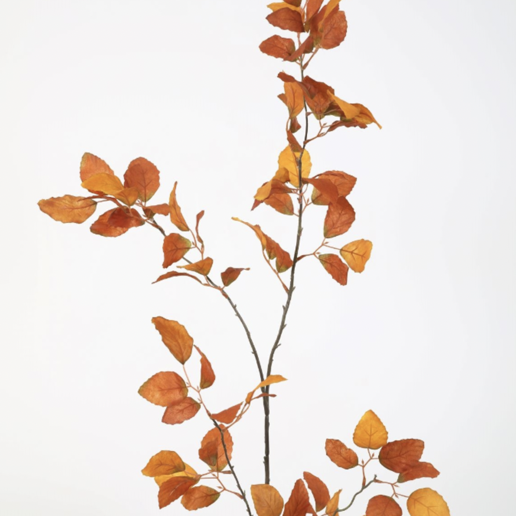 -- C&G - Beech spray 155cm bruin/oranje