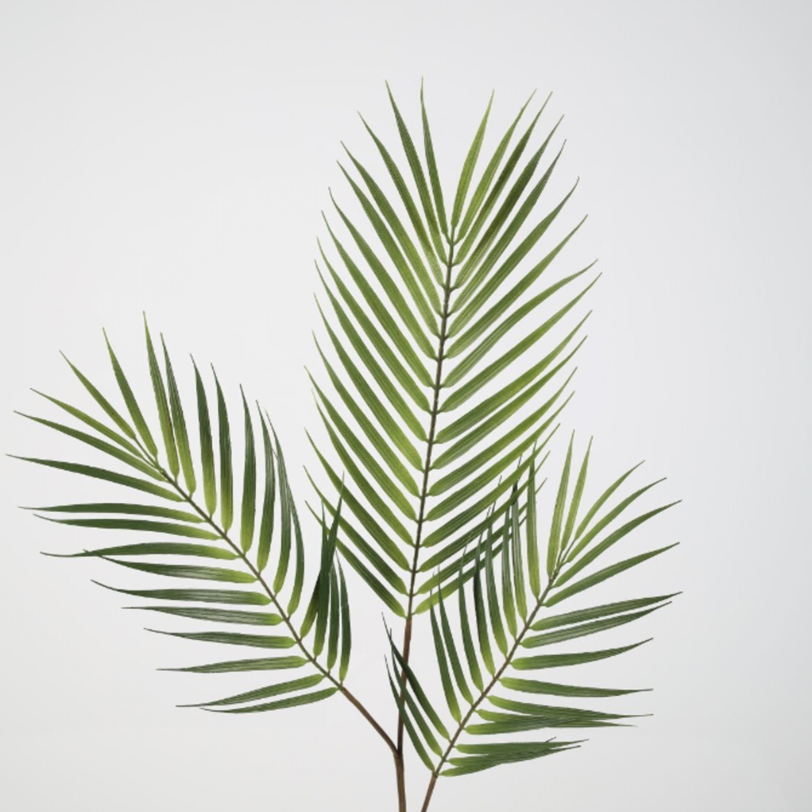 -- C&G - Areca palm spray 86cm groen