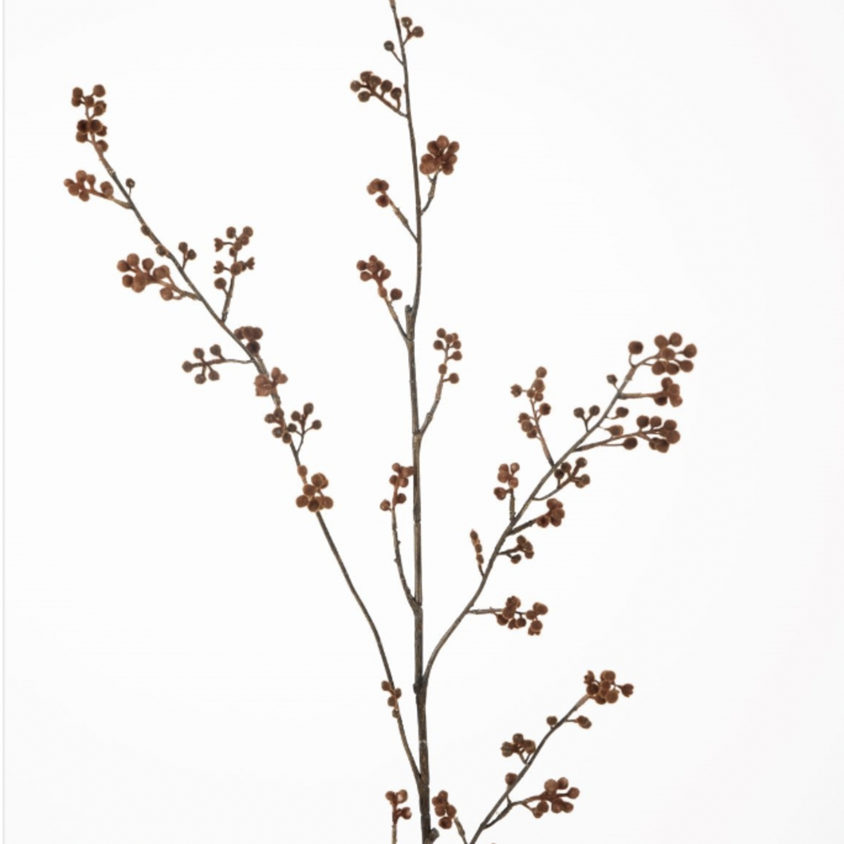 -- C&G - Plum berry spray 110cm bruin/naturel bessen