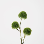 -- C&G - Carnation green trick 60cm groen