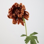 -- C&G - Mum spray 63cm koraal rood