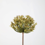 -- C&G - Allium stem groen 86cmx13cm