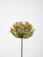 -- C&G - Allium stem groen 86cmx13cm