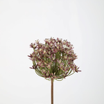 -- C&G - Allium stem lila/paars/lavendel 86cmx13cm