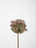 -- C&G - Allium stem lila/paars/lavendel 86cmx13cm