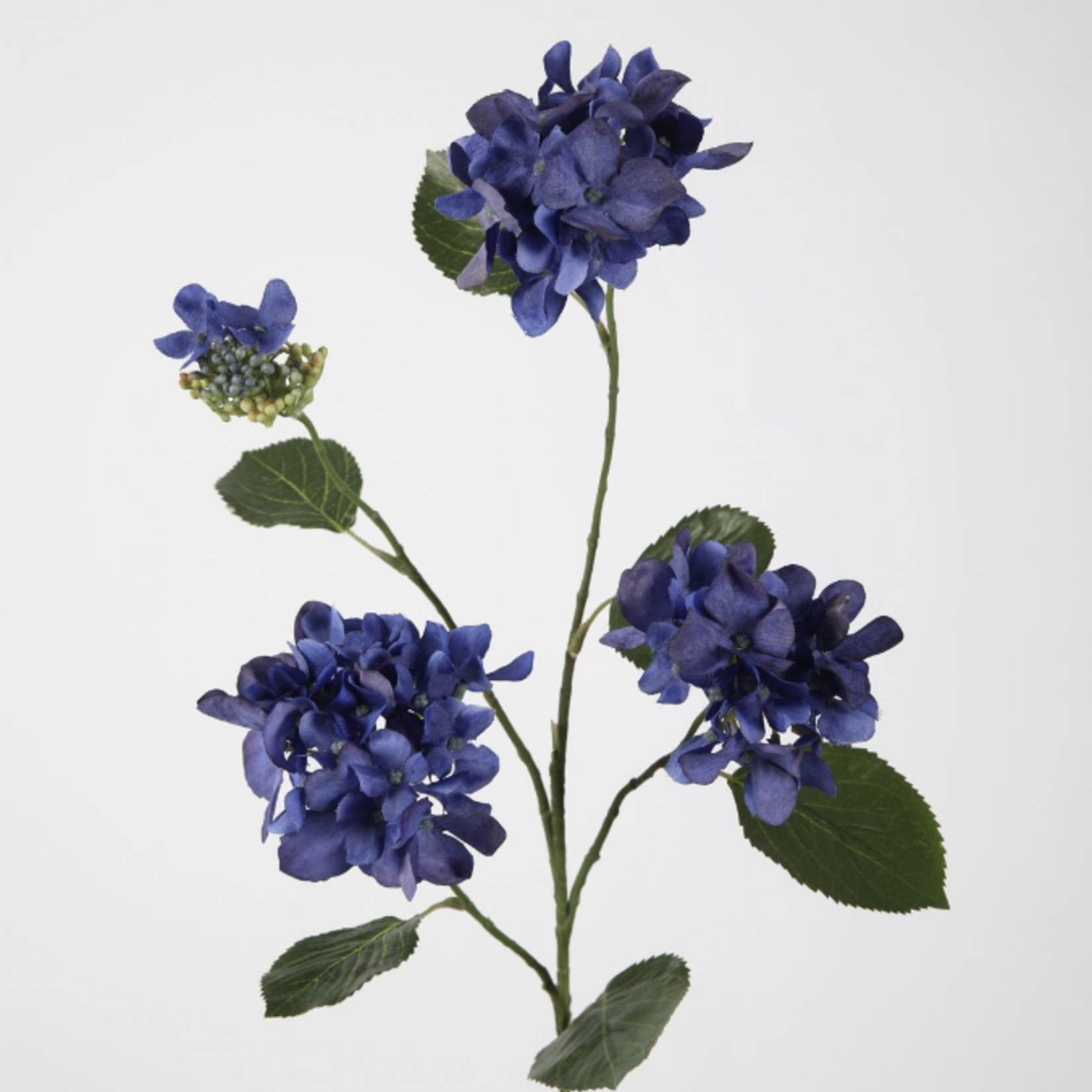 -- C&G - Hydrangea/hortensia  spray 80cm blauw
