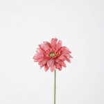 __ C&G - Single mini gerbera 47cm roze