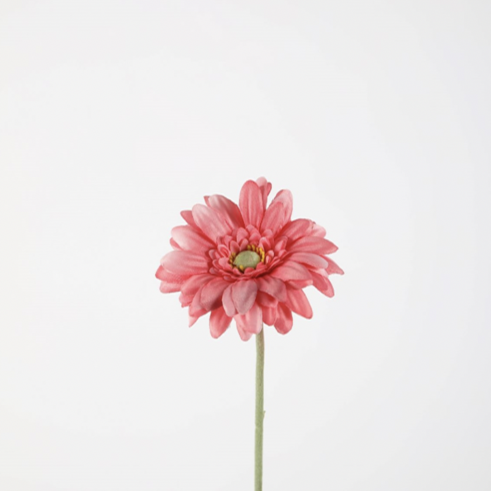 __ C&G - Single mini gerbera 47cm roze