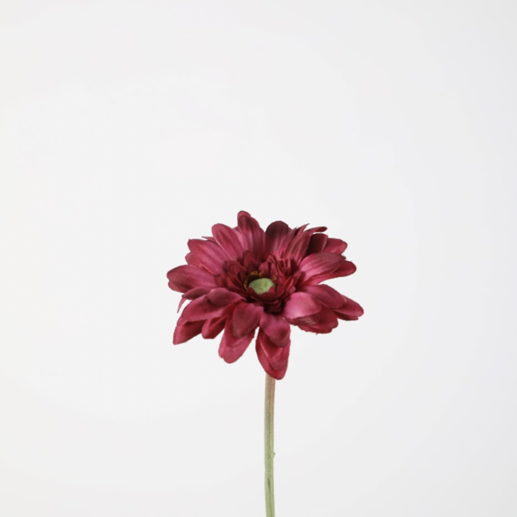 -- C&G - Single mini gerbera 47cm