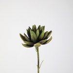 -- C&G - Artichoke 79cm groen