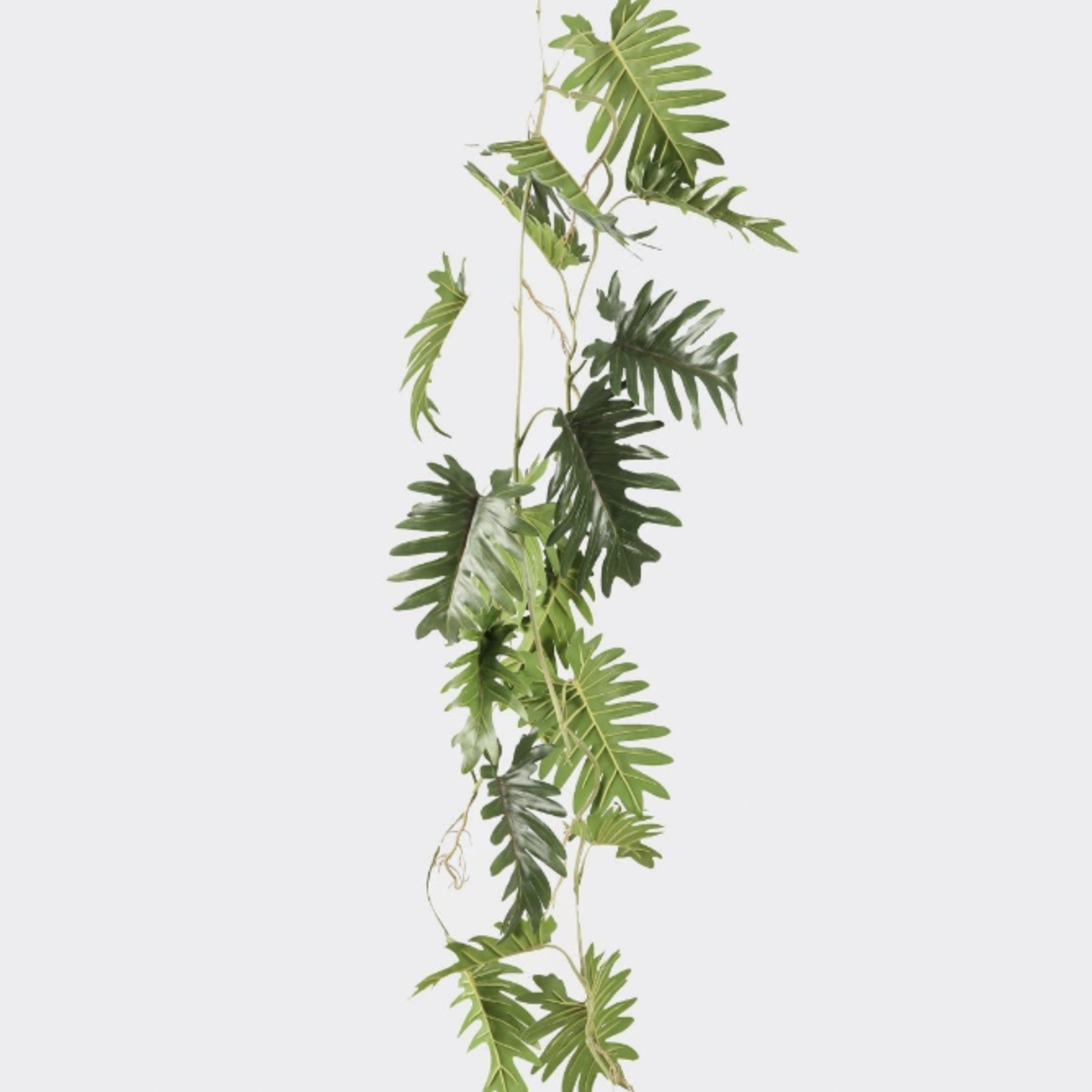 -- C&G - Philodendron vine 105cm hedra hangplant groen