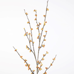 -- C&G - Berry spray127cm geel/oranje