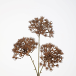 -- C&G - Queen Anne's Spray 78cm
