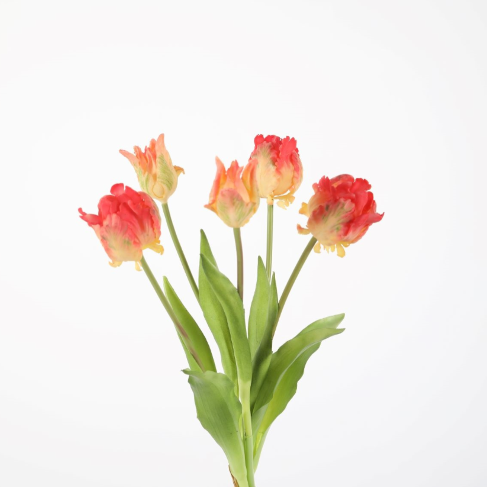 -- C&G - Parrot Tulp geel/oranje 41cm prijs per stuk