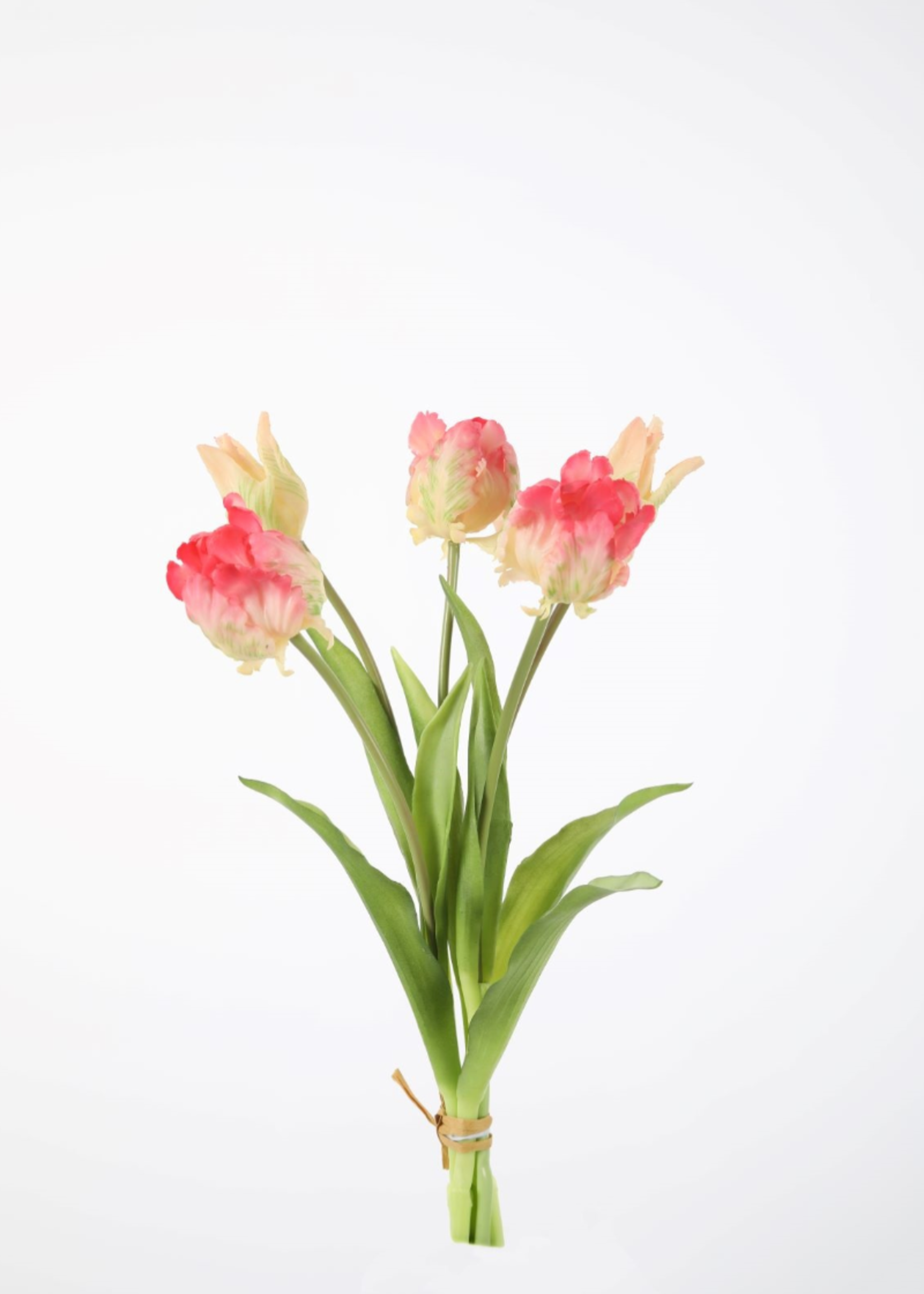 -- C&G - Parrot Tulp roze fuchsia 41cm prijs per stuk