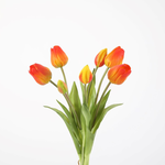 -- C&G - Tulp oranje/geel 41 cm