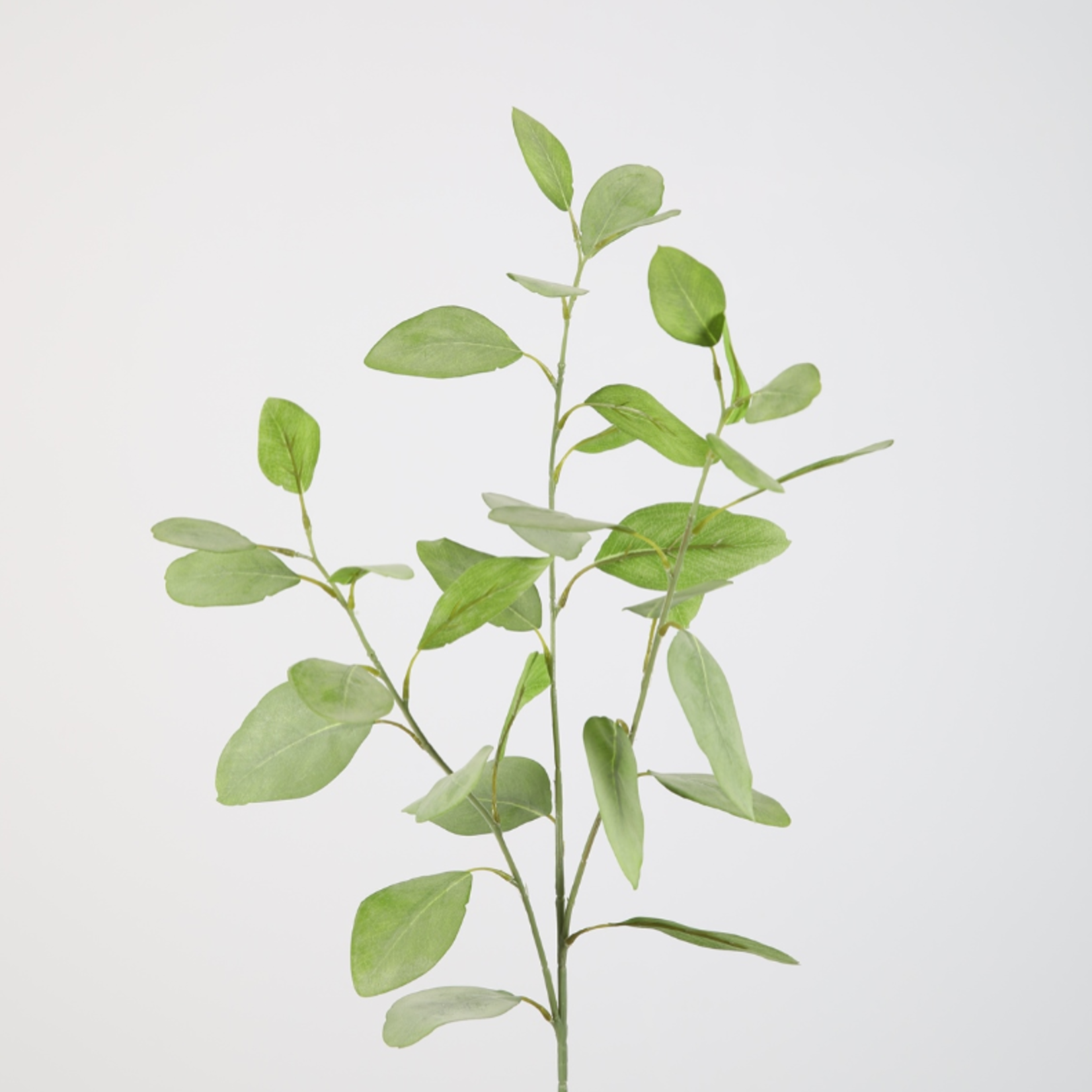 -- C&G - Eucalyptus 82cm groen zijde