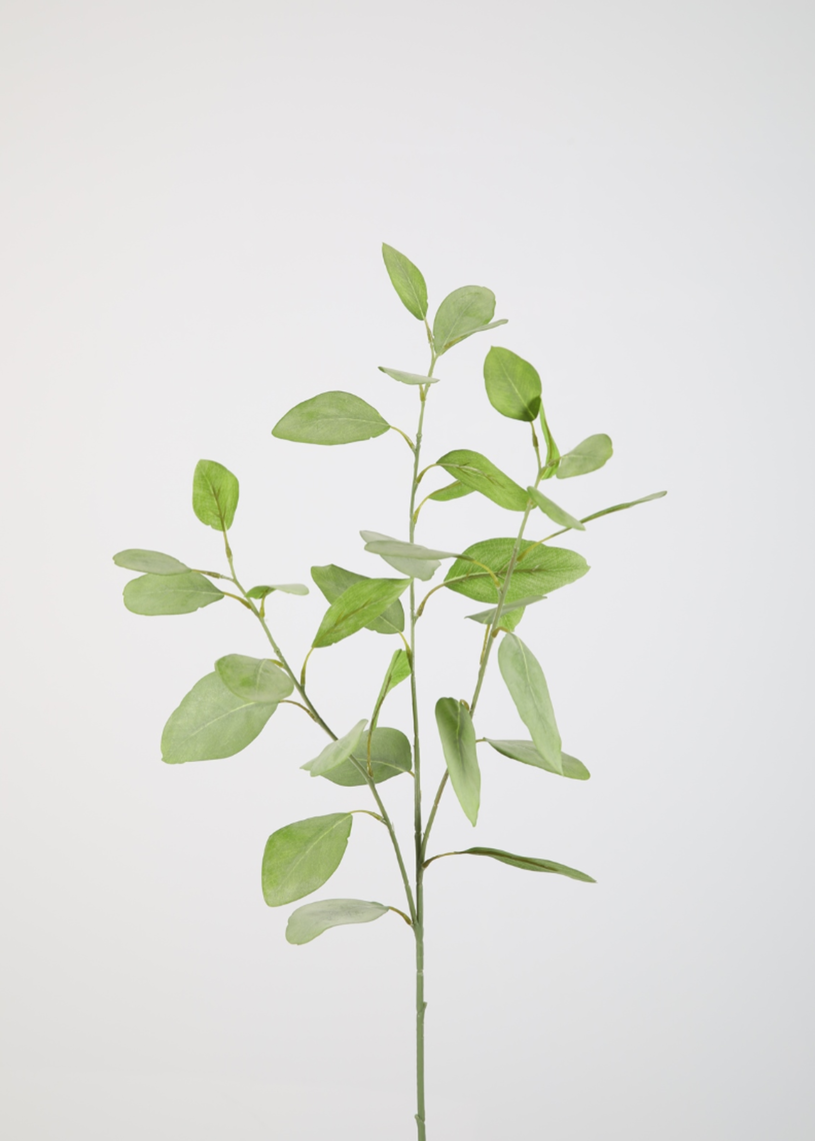 -- C&G - Eucalyptus 82cm groen zijde