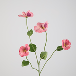 -- C&G - Pansy spray 67cm roze (viooltje)