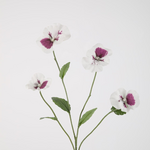 -- C&G - Pansy spray 67cm wit/paars (viooltje)