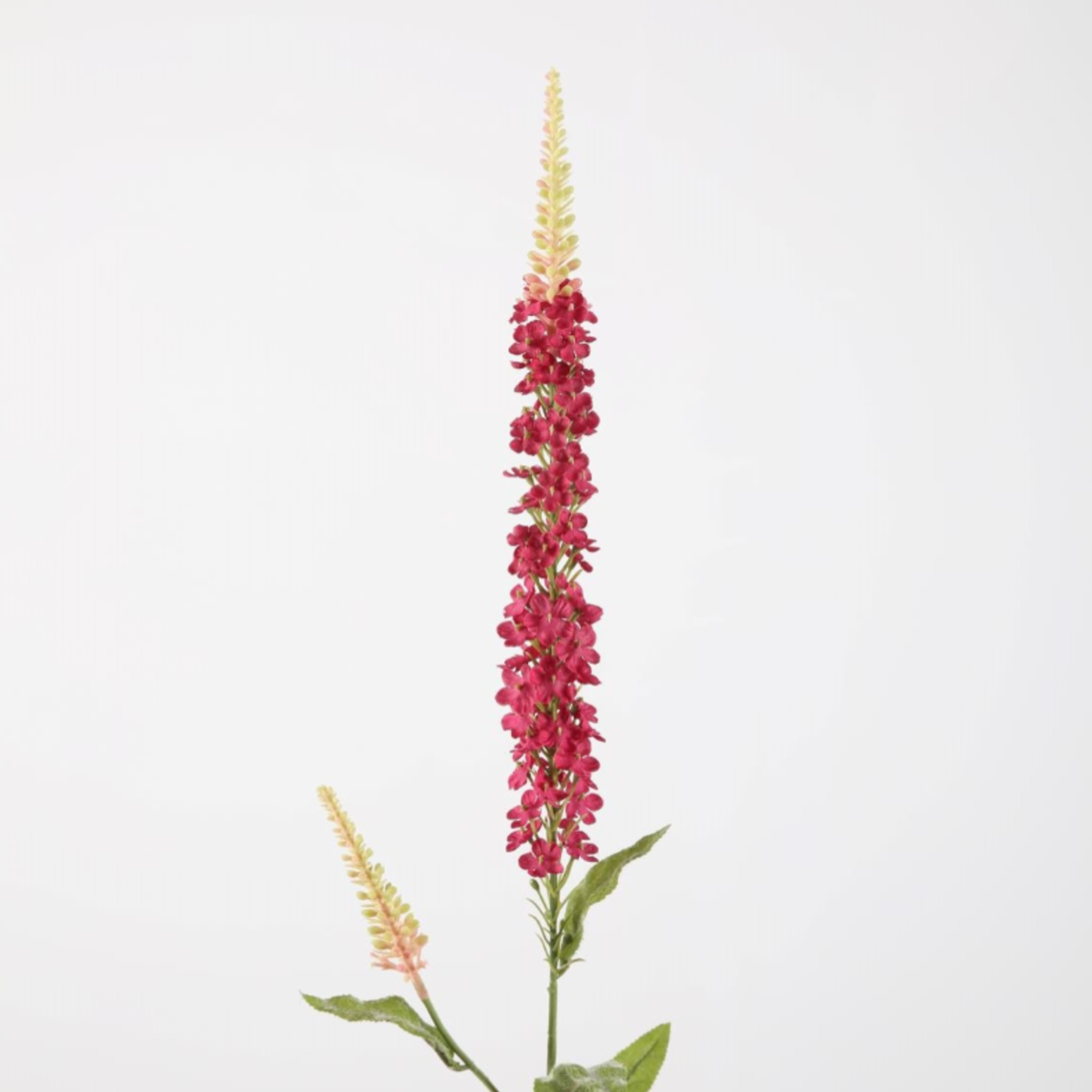 -- C&G - Hyssop Spray 84cm fuchsia rose