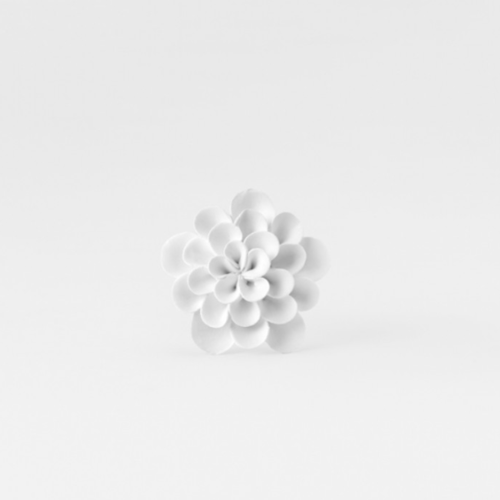 RÄDER DESIGN Stories RÄDER DESIGN - Air Refresher Chrysanthemum wit 5xH8,5cm