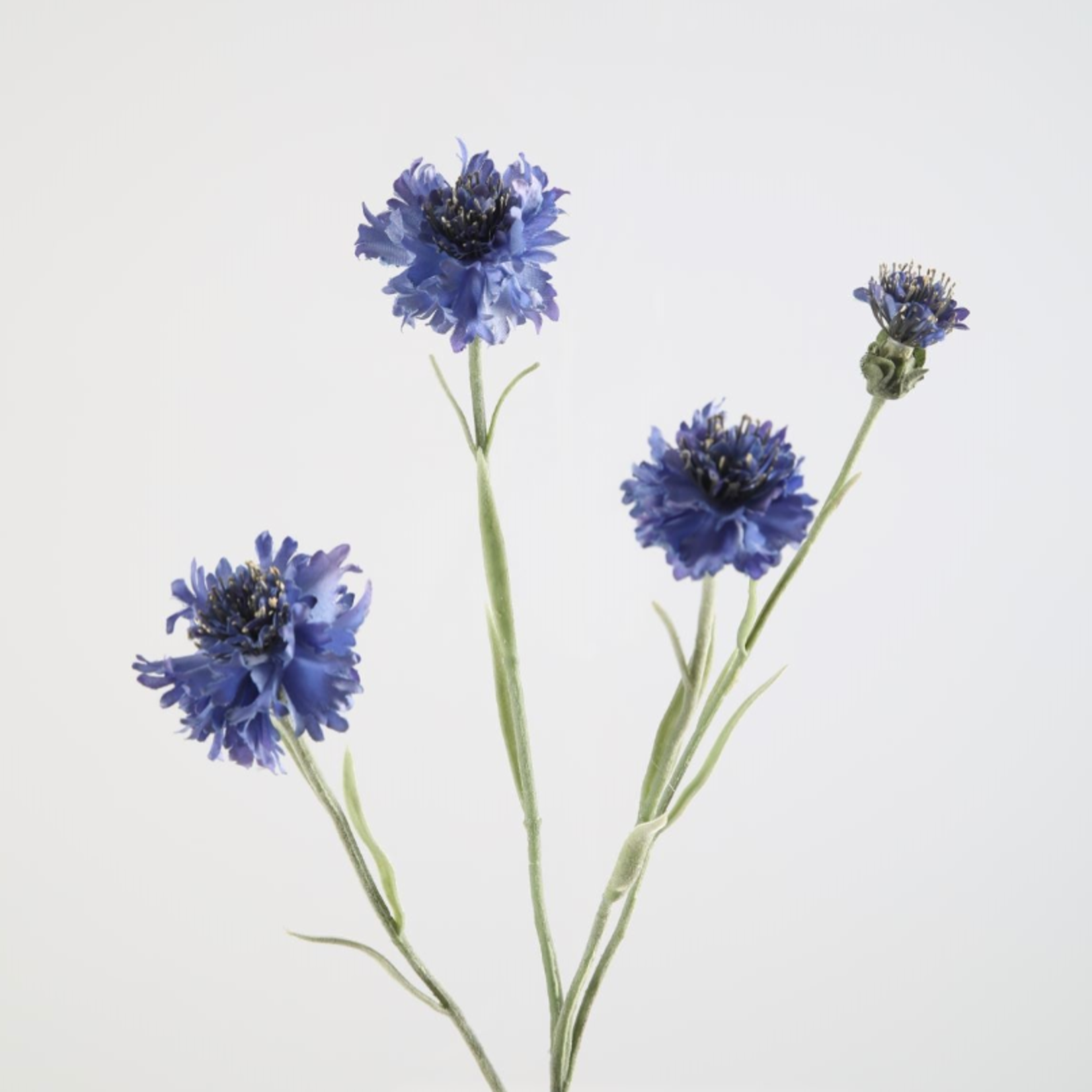 -- Cornflower Spray 61cm