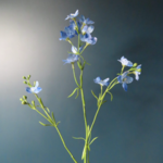 -- Zijdebloem Larkspur spray 85cm blauw