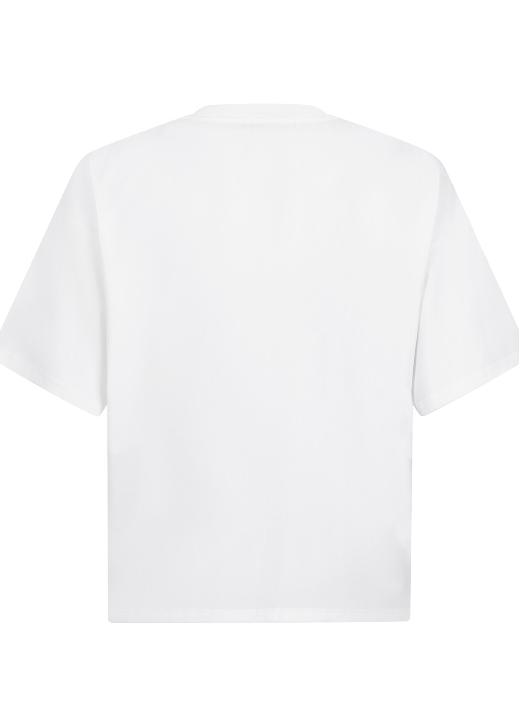 YDENCE YDENCE - T-shirt Palm trees off-white/multi