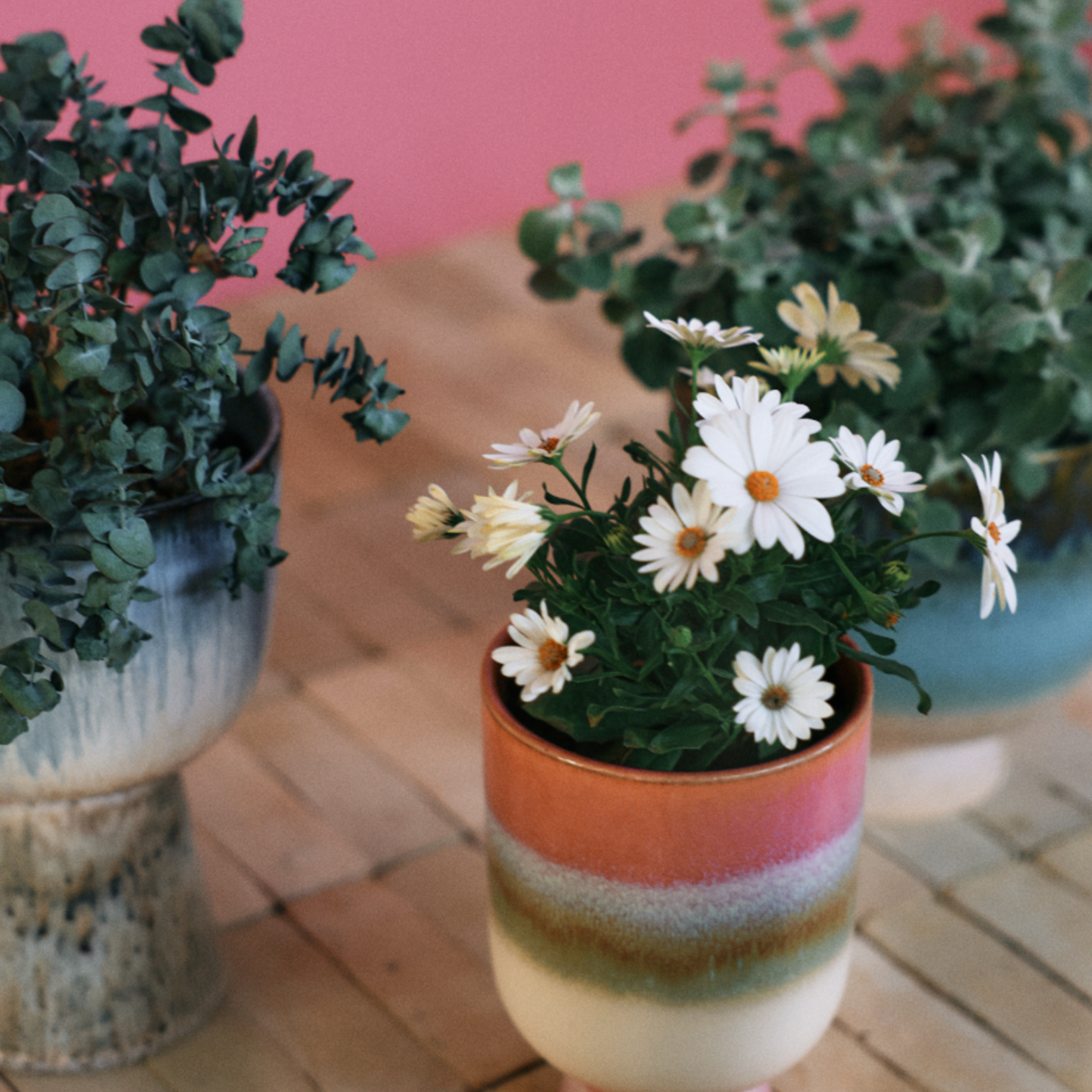 HKLIVING HKLIVING - Retro flower pot rosefield AFC0008