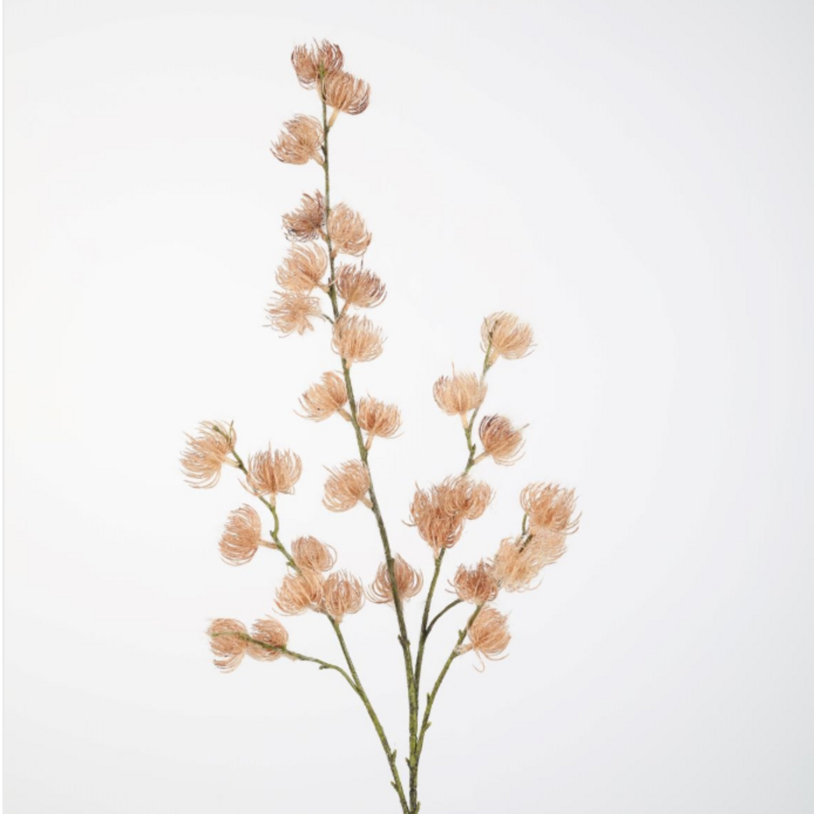 -- C&G - Clematis Seed Pod 103cm /flocked pine spray