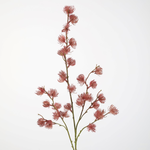 -- C&G - Clematis Seed Pod 103cm rood/ flocked pine