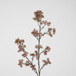 -- C&G - Berry 102cm bruin